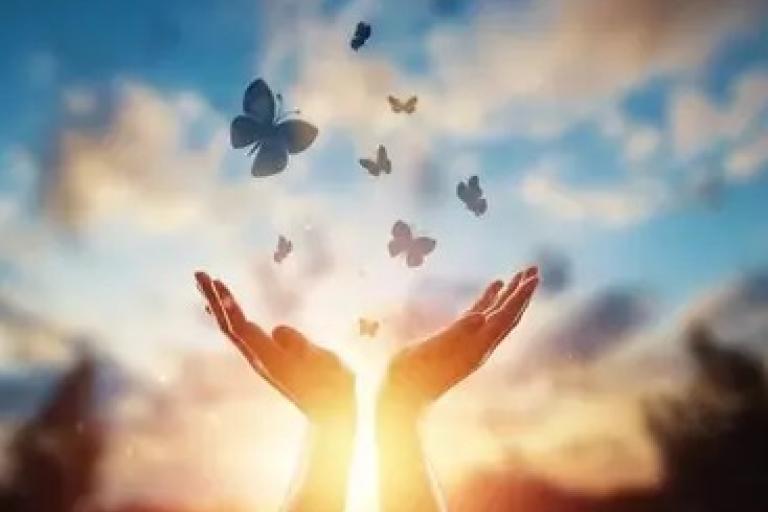 hand with butterflies